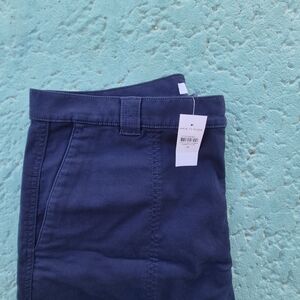 Ann Taylor Deep Blue Trousers Size 18